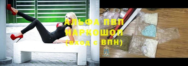 гашик Арсеньев