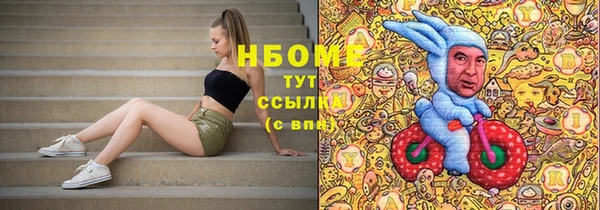 гашик Арсеньев