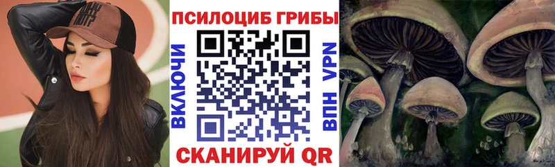 Псилоцибиновые грибы мицелий  Купить закладки  Белоусово 